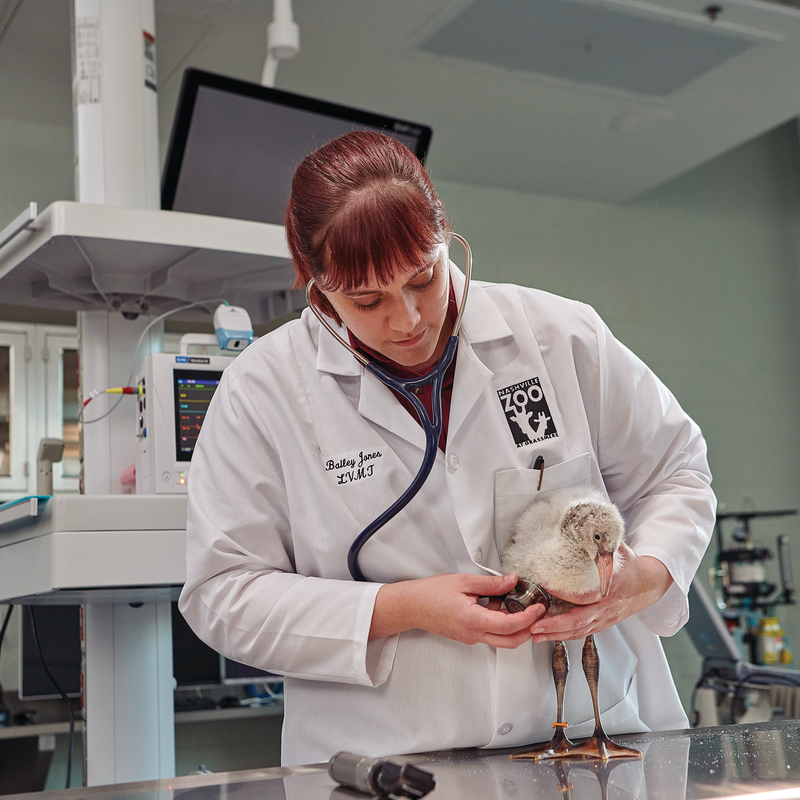 Women's Lab Coat image number 3
